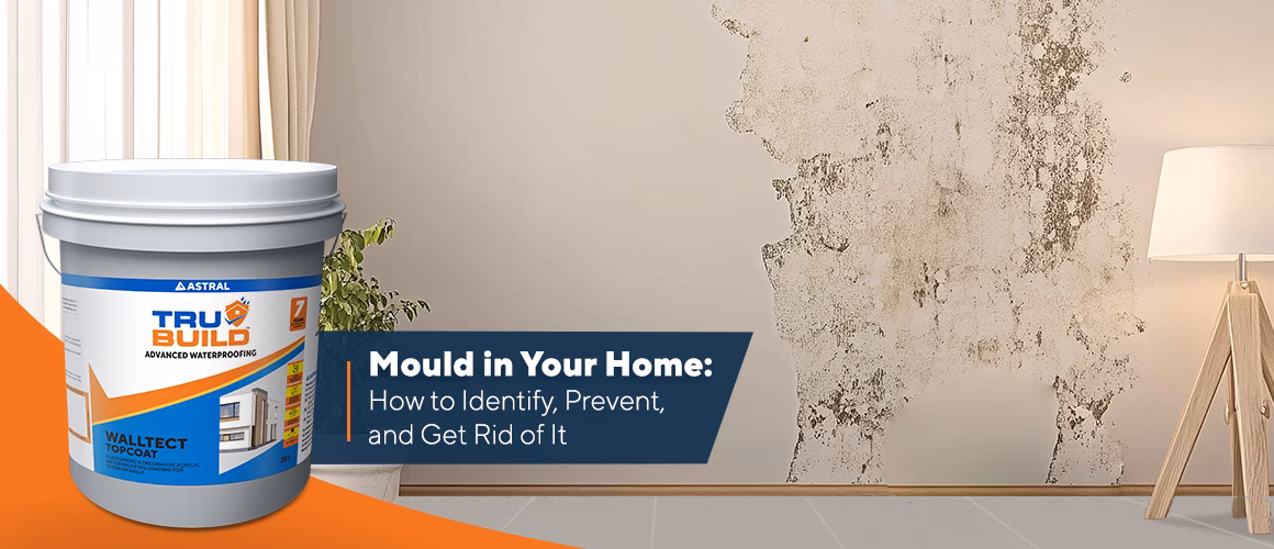 Mould on the walls of a home