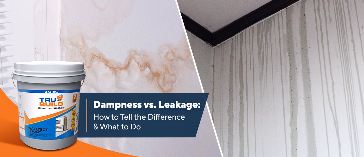 Difference Between Dampness vs. Leakage